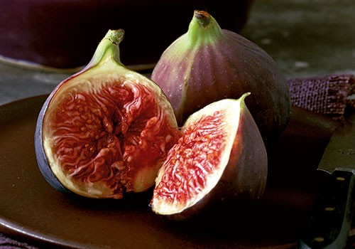 fig-main